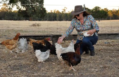 Wilga Apartment | DONN4254S2 - Wilga Farm Stay - Shearer's Shack Camping - double