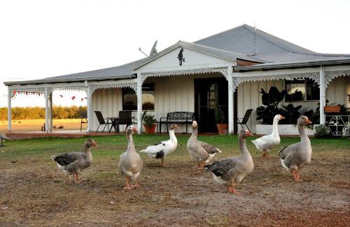 Wilga Apartment | DONN4254S2 - Wilga Farm Stay - Shearer's Shack Camping - double