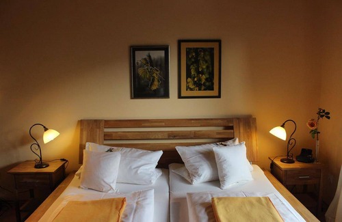 Hatzenport Hotel | Double room, shower or bath, toilet, no smoker