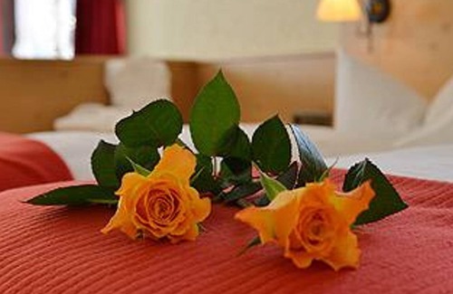 Hirschegg House | Double room without balcony DZ oB HH "18" - Hotel Garni Adler