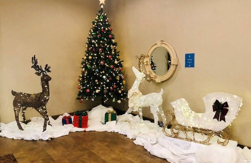 Flagstaff Hotel | DoubleTree by Hilton Hotel Flagstaff
