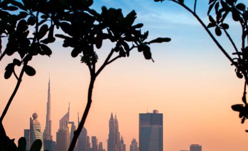 Al Mankhool Hotel | DoubleTree by Hilton Dubai M Square Hotel & Residences