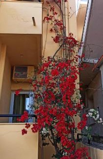 Georgioupolis Hotel | Drosia Hotel