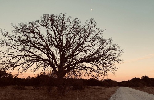 Llano RV Rental | Dry Camping! Solar eclipse! Totality! Bring your tent!