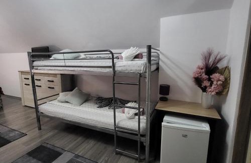 Zarnesti Hotel | Dumbrava Ursului