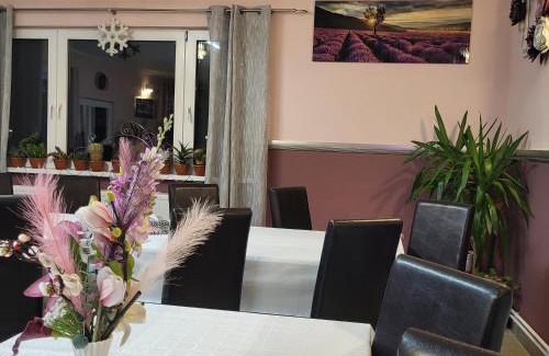 Zarnesti Hotel | Dumbrava Ursului