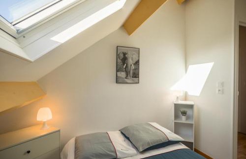 Troyes Bed & Breakfast | Duplex Pasteur - Chambre 3 - Chambre Privée