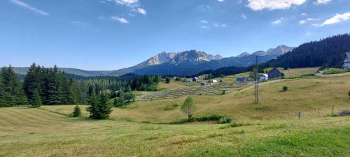 Zabljak Villa | Durmitorske Vile