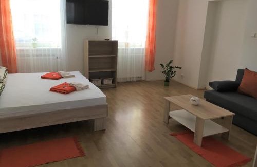 Ceske Budejovice Apartment | Dvacítka