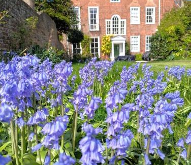 Chichester Bed & Breakfast | East Pallant Bed and Breakfast, Located in Large Georgian Townhouse in Central Chichester