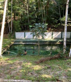 Castanhal Hotel | Eco Hotel Mãe De Sagui