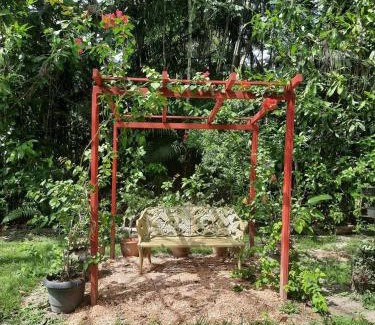Castanhal Hotel | Eco Hotel Mãe De Sagui