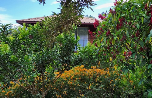 Los Naranjos Bed & Breakfast | Eco resort: Panama's largest butterfly exhibit, native bee and honey farm
