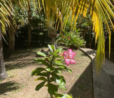 Terre-de-Haut Apartment | EDEN Mango