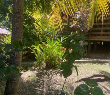 Terre-de-Haut Apartment | EDEN Mango