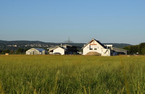 Sinzig Apartment | Einladende Ferienwohnung auf Bauernhof in Sinzig