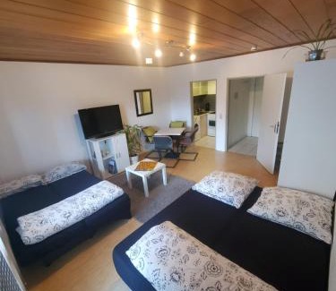 Mietersheim Apartment | Einzimmerwohnungmit großem Balkon