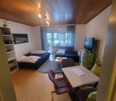 Mietersheim Apartment | Einzimmerwohnungmit großem Balkon