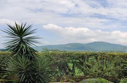 Dhela Apartment | Eiyuu Hotels - Wildlife & Nature View