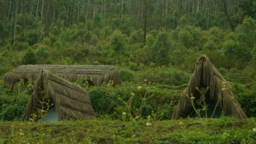 Periyur Other | EKa Forest