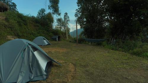 Periyur Other | EKa Forest