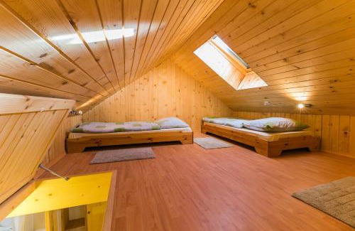 Ambroz pod Krvavcem House | EkoTurizem Viženčar