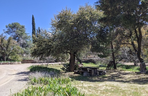 Oracle Hotel | El Rancho Robles