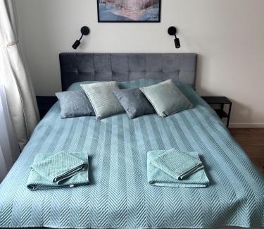Liepaja Apartment | Elegant seaside stay - Vitolu street apartment