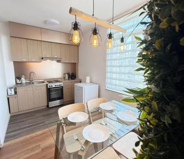 Oradea Apartment | ENE Studio
