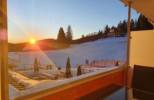 Feldberg Apartment | Enjoy Ferienwohnung Feldberg Grafenmatt