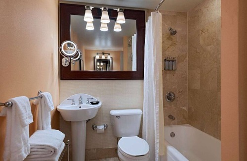 Downtown Austin Hotel | Enjoy Live Music and Culture! Pets Allowed, Swimming Pool, Near Zilker Park!