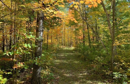 Hinckley House | Enjoy over 50 acres of Nature