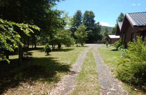 Pucon Cabin | Entre Hualles y Pellines