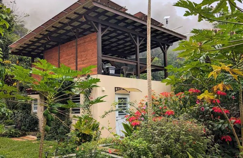 Vivi Abajo Apartment | Epic Mountaintop Jungle Casita Adventure