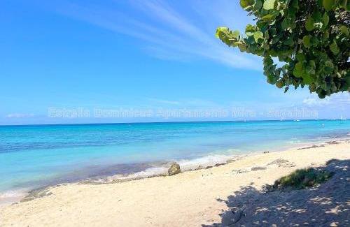 Dominicus Apartment | Estrella Dominicus Apartamento - Bayahibe