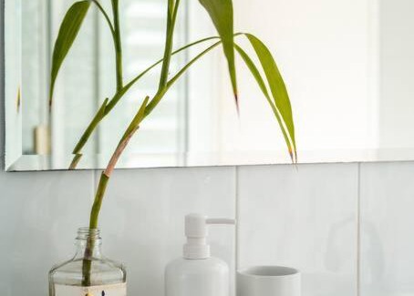 Palmwoods House | Eudlo Rest- Amongst the Treetops