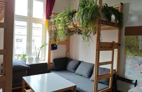 Stradom Hostel | Evergreen Hostel Krakow