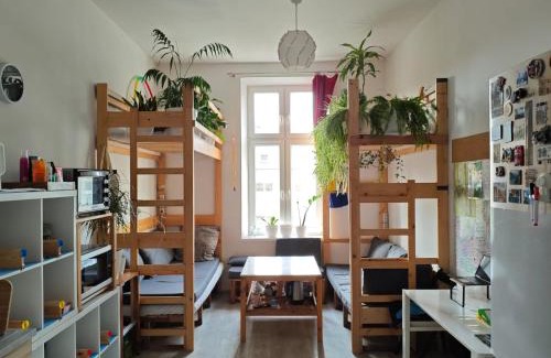 Stradom Hostel | Evergreen Hostel Krakow