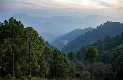 Dharampur Apartment | Exotic Stays I The Suhana Suffer I Toy Train & Mountains View I Apartments I Excellent Service Of Year I Nature Treks I Kasauli