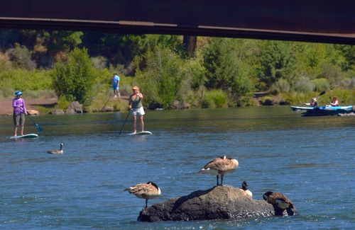 Southern Crossing Cottage | Experience Bend's magic from this quiet home near river/trail & Old Mill.