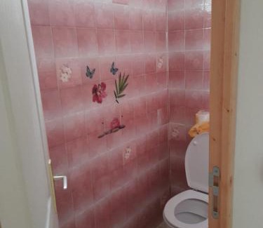 Capesterre-Belle-Eau Apartment | F2 dans bas de villa
