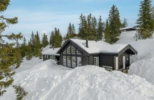 Sjusjoen House | Family Cabin With Two Units At Sjusjøen