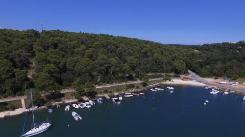Vinkuran Apartment | Family friendly apartments with a swimming pool Vinkuran, Pula - 15736