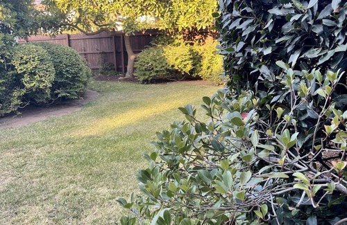 Montecito House | Family Friendly with AC and only 5 minutes to the beach!
