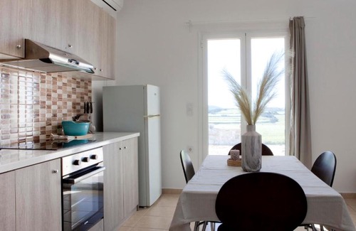 Naxos House | Family-size House in the fields of Naxos 2BR Queen, 2TV, 2WC