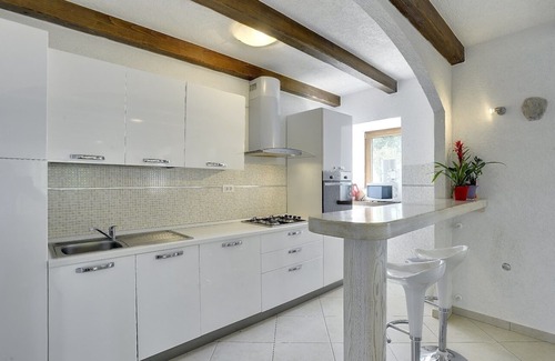 Lupoglav House | Fantastic panoramic finca with private pool, air conditioning, WLAN, terrace, barbecue