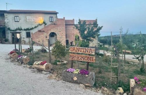 Bosco Apartment | Fattoria di Pieve Pagliaccia - Cantina Brugnoni