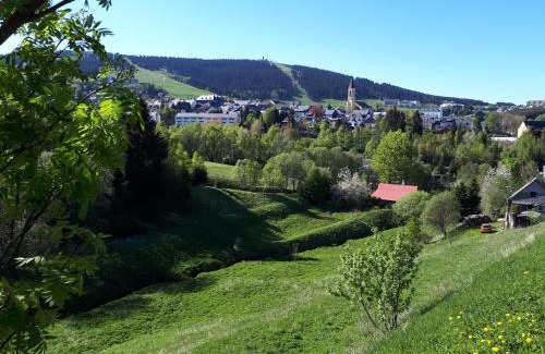 Oberwiesenthal Apartment | Ferienwohnung Aronia Garten
