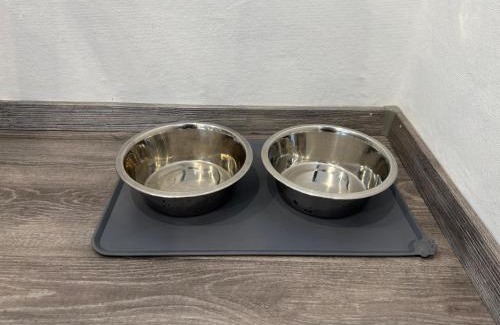 Borken Apartment | Ferienwohnung am See Dillich - Hunde willkommen - Eigener eingezäunter Garten - Ruhige Lage