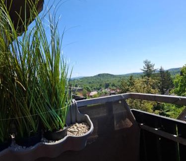 Bad Sachsa Apartment | Ferienwohnung Gipfelglück mit Fernblick und Strandkorb